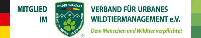 Professionelle Schädlingsbekämpfung und Prävention in Schleswig-Holstein – SBK Hackbarth